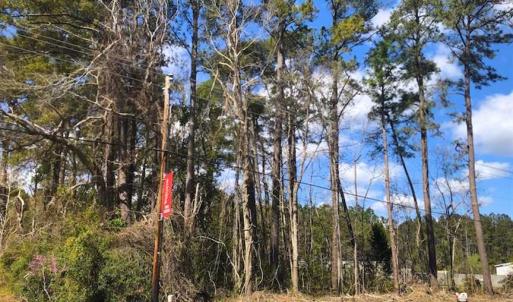 Photo of SOLD!!  0.826 Acre Vacant Lot For Sale in Pamlico County NC!
