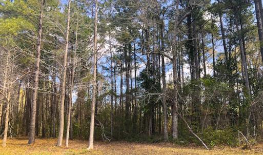 Photo of UNDER CONTRACT!  0.718 Acre Vacant Lot For Sale in Pamlico County NC!