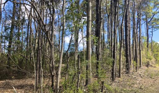 Photo of UNDER CONTRACT!  0.718 Acre Vacant Lot For Sale in Pamlico County NC!