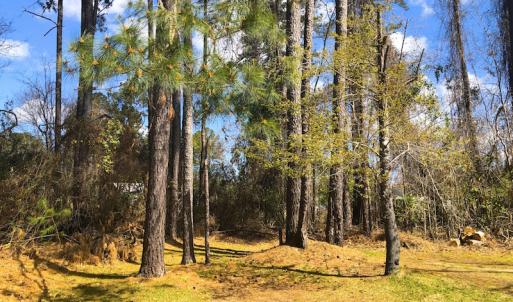 Photo of UNDER CONTRACT!  0.718 Acre Vacant Lot For Sale in Pamlico County NC!
