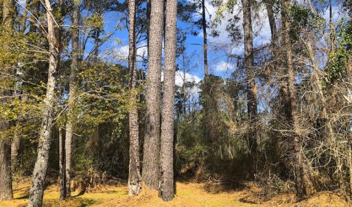 Photo of UNDER CONTRACT!  0.718 Acre Vacant Lot For Sale in Pamlico County NC!