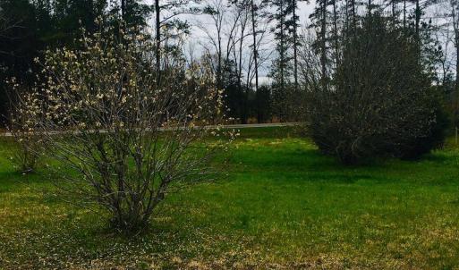 Photo of SOLD!  2 Acres of Residential Land with Home in Lunenburg County VA!