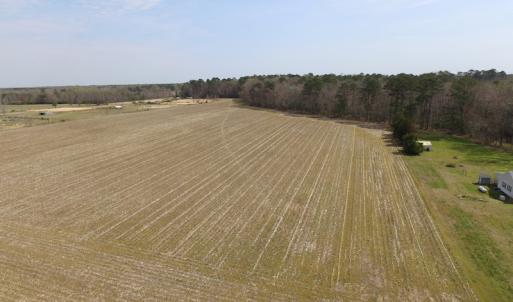 Photo of UNDER CONTRACT!  24 Acres of Farm and Timber Land For Sale in Isle of Wight County VA!