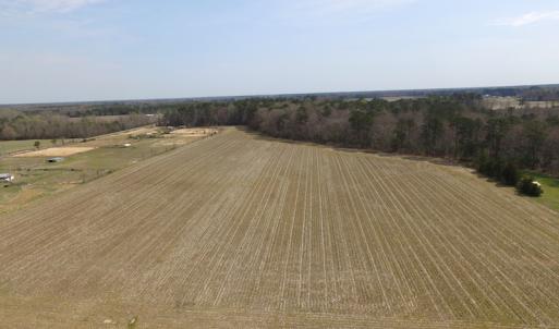 Photo of UNDER CONTRACT!  24 Acres of Farm and Timber Land For Sale in Isle of Wight County VA!
