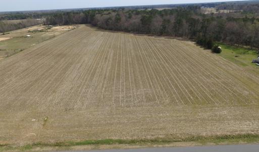 Photo of UNDER CONTRACT!  24 Acres of Farm and Timber Land For Sale in Isle of Wight County VA!