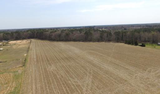 Photo of UNDER CONTRACT!  24 Acres of Farm and Timber Land For Sale in Isle of Wight County VA!