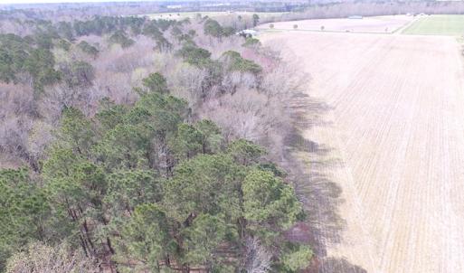 Photo of UNDER CONTRACT!  24 Acres of Farm and Timber Land For Sale in Isle of Wight County VA!