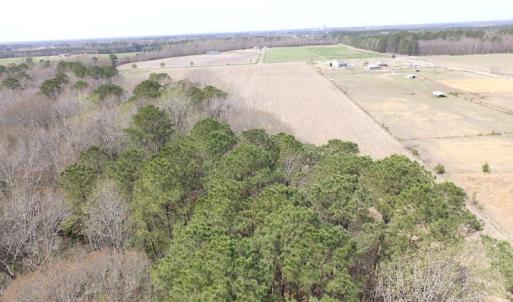 Photo of UNDER CONTRACT!  24 Acres of Farm and Timber Land For Sale in Isle of Wight County VA!