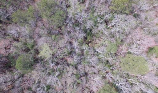 Photo of UNDER CONTRACT!  24 Acres of Farm and Timber Land For Sale in Isle of Wight County VA!