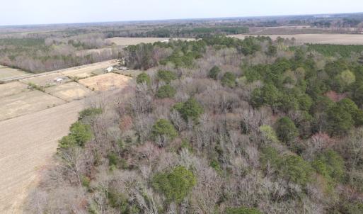 Photo of UNDER CONTRACT!  24 Acres of Farm and Timber Land For Sale in Isle of Wight County VA!