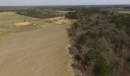 Photo of UNDER CONTRACT!  24 Acres of Farm and Timber Land For Sale in Isle of Wight County VA!