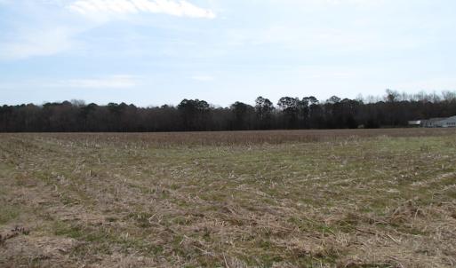 Photo of UNDER CONTRACT!  24 Acres of Farm and Timber Land For Sale in Isle of Wight County VA!