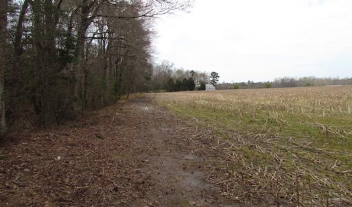 Photo of UNDER CONTRACT!  24 Acres of Farm and Timber Land For Sale in Isle of Wight County VA!