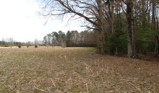 Photo of UNDER CONTRACT!  24 Acres of Farm and Timber Land For Sale in Isle of Wight County VA!