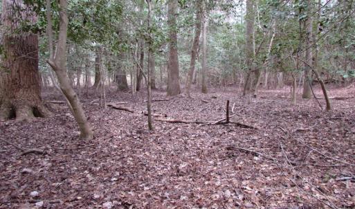 Photo of UNDER CONTRACT!  24 Acres of Farm and Timber Land For Sale in Isle of Wight County VA!