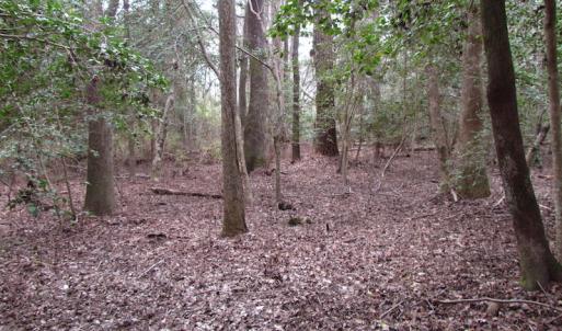 Photo of UNDER CONTRACT!  24 Acres of Farm and Timber Land For Sale in Isle of Wight County VA!