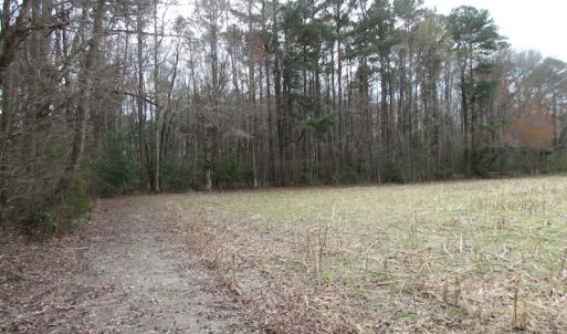 Photo of UNDER CONTRACT!  24 Acres of Farm and Timber Land For Sale in Isle of Wight County VA!