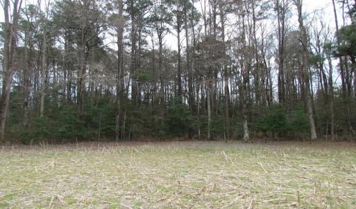 Photo of UNDER CONTRACT!  24 Acres of Farm and Timber Land For Sale in Isle of Wight County VA!
