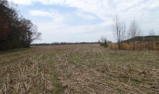 Photo of UNDER CONTRACT!  24 Acres of Farm and Timber Land For Sale in Isle of Wight County VA!