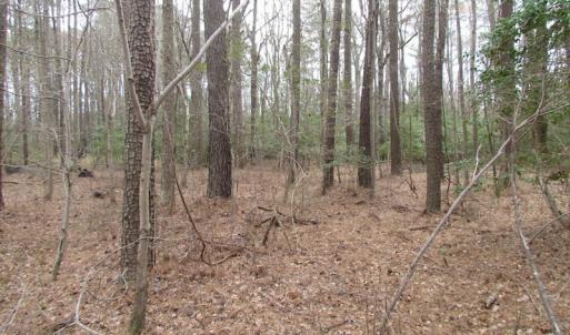 Photo of UNDER CONTRACT!  24 Acres of Farm and Timber Land For Sale in Isle of Wight County VA!