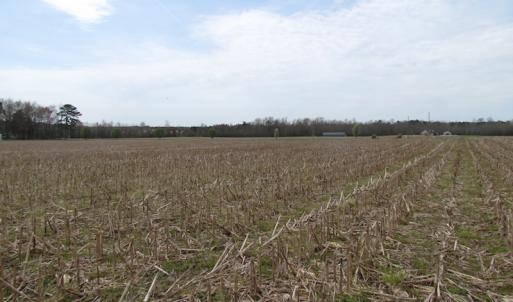 Photo of UNDER CONTRACT!  24 Acres of Farm and Timber Land For Sale in Isle of Wight County VA!