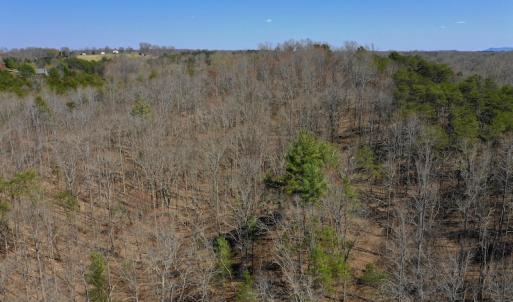 Photo of REDUCED!  5.4 Acres of Waterfront Recreational Land For Sale in Bedford County VA!