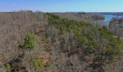Photo of REDUCED!  5.4 Acres of Waterfront Recreational Land For Sale in Bedford County VA!