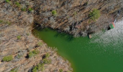 Photo of REDUCED!  5.4 Acres of Waterfront Recreational Land For Sale in Bedford County VA!