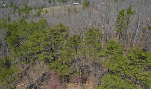 Photo of REDUCED!  5.4 Acres of Waterfront Recreational Land For Sale in Bedford County VA!
