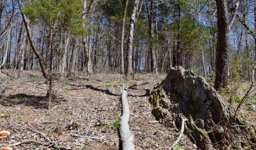 Photo of REDUCED!  5.4 Acres of Waterfront Recreational Land For Sale in Bedford County VA!