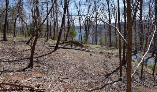 Photo of REDUCED!  5.4 Acres of Waterfront Recreational Land For Sale in Bedford County VA!