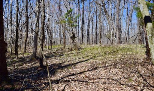 Photo of REDUCED!  5.4 Acres of Waterfront Recreational Land For Sale in Bedford County VA!