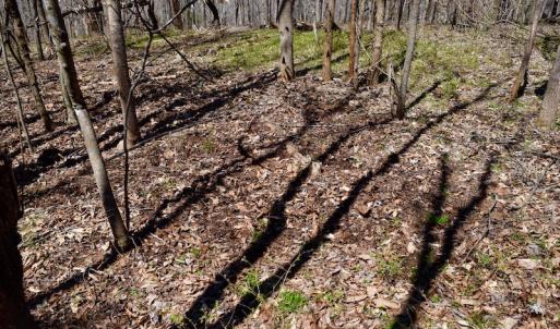 Photo of REDUCED!  5.4 Acres of Waterfront Recreational Land For Sale in Bedford County VA!