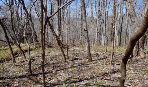 Photo of REDUCED!  5.4 Acres of Waterfront Recreational Land For Sale in Bedford County VA!