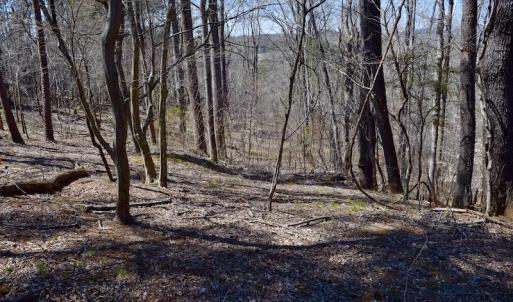 Photo of REDUCED!  5.4 Acres of Waterfront Recreational Land For Sale in Bedford County VA!