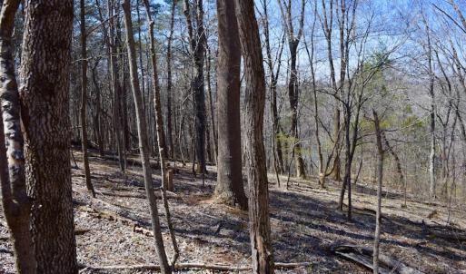 Photo of REDUCED!  5.4 Acres of Waterfront Recreational Land For Sale in Bedford County VA!