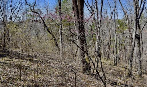 Photo of REDUCED!  5.4 Acres of Waterfront Recreational Land For Sale in Bedford County VA!