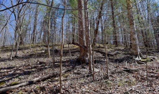 Photo of REDUCED!  5.4 Acres of Waterfront Recreational Land For Sale in Bedford County VA!