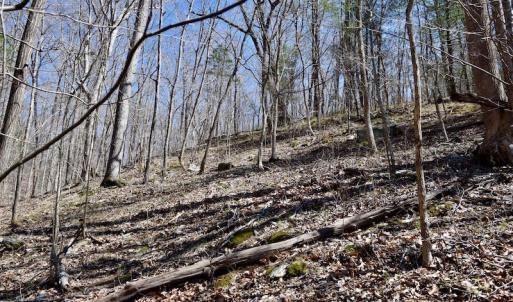 Photo of REDUCED!  5.4 Acres of Waterfront Recreational Land For Sale in Bedford County VA!