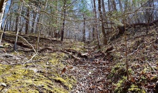 Photo of REDUCED!  5.4 Acres of Waterfront Recreational Land For Sale in Bedford County VA!
