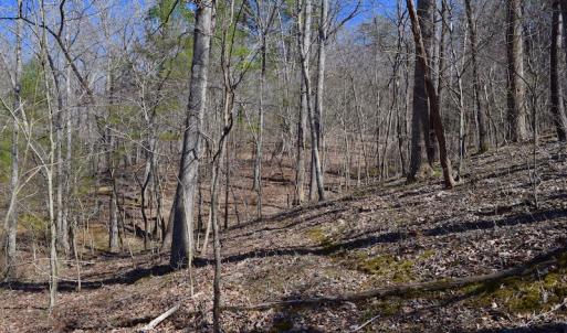 Photo of REDUCED!  5.4 Acres of Waterfront Recreational Land For Sale in Bedford County VA!