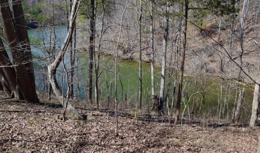Photo of REDUCED!  5.4 Acres of Waterfront Recreational Land For Sale in Bedford County VA!