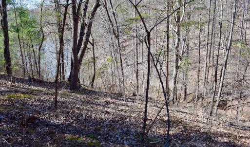 Photo of REDUCED!  5.4 Acres of Waterfront Recreational Land For Sale in Bedford County VA!