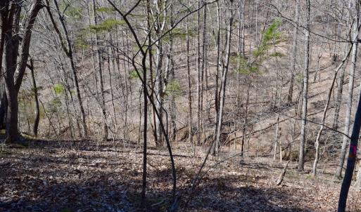 Photo of REDUCED!  5.4 Acres of Waterfront Recreational Land For Sale in Bedford County VA!