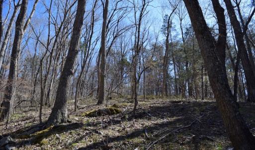 Photo of REDUCED!  5.4 Acres of Waterfront Recreational Land For Sale in Bedford County VA!