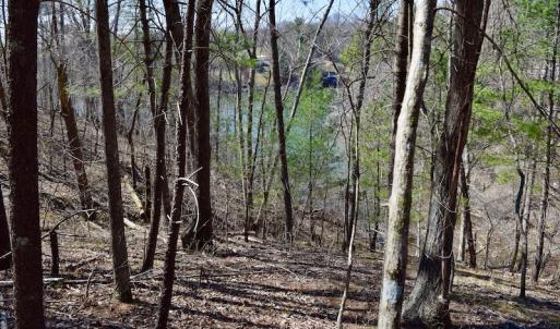 Photo of REDUCED!  5.4 Acres of Waterfront Recreational Land For Sale in Bedford County VA!