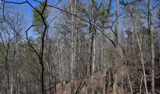 Photo of REDUCED!  5.4 Acres of Waterfront Recreational Land For Sale in Bedford County VA!