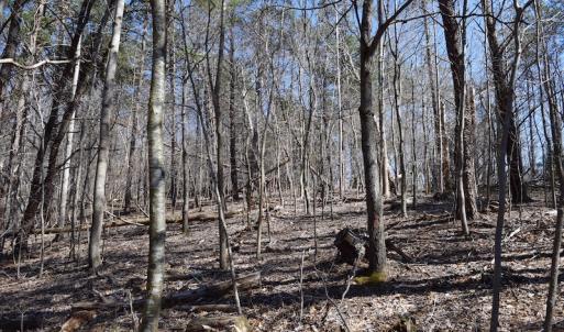Photo of REDUCED!  5.4 Acres of Waterfront Recreational Land For Sale in Bedford County VA!
