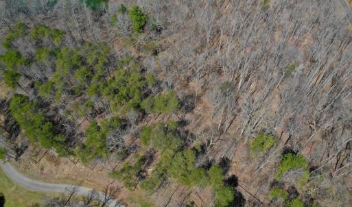 Photo of REDUCED!  5.4 Acres of Waterfront Recreational Land For Sale in Bedford County VA!