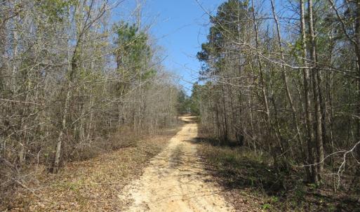 Photo of SOLD!!  77 Acres of Hunting Land For Sale in Scotland County NC!